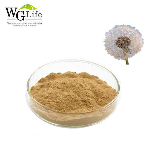 Dandelion Extract