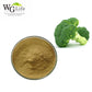 Broccoli Seed Extract/ Sulforaphane