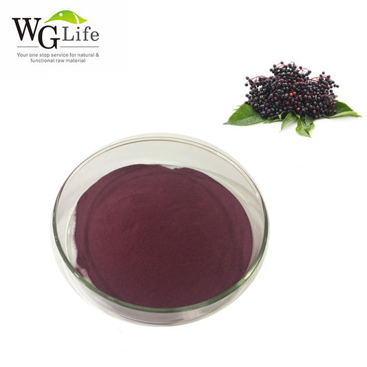 Black Elderberry Extract Powder