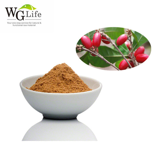 Miracle Fruit Extract Powder