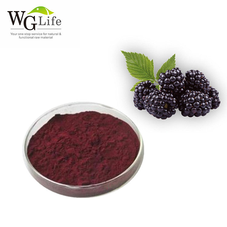 Mulberry Anthocyanidin Extract Powder