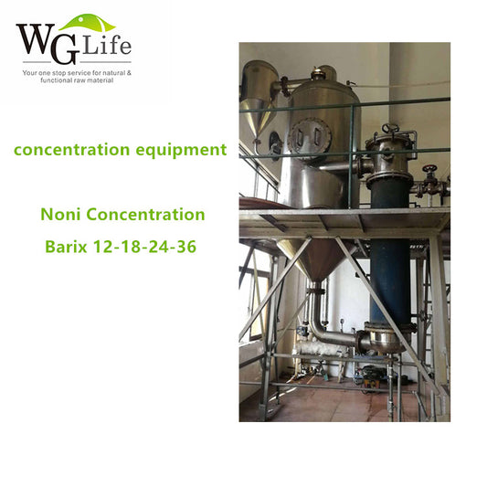 Wglife Noni juice Concentrate