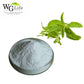 Stevia leaf extract powder
