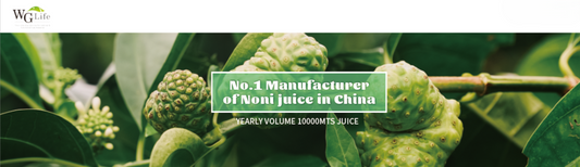 Analysis Report on Production Capacity of Hainan WGLIFE NONI