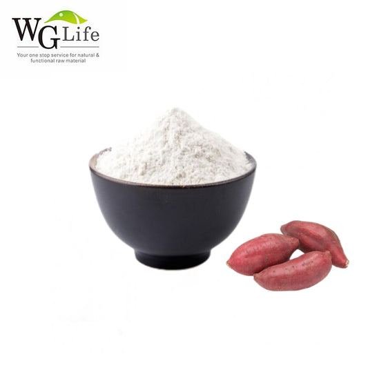 Sweet Potato Starch wholesale - wglife