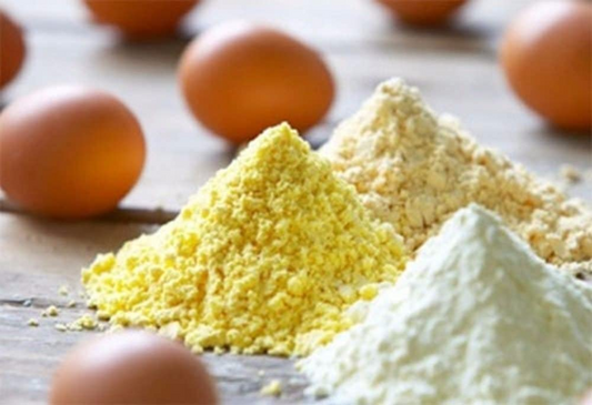 Wholesale Egg Powder