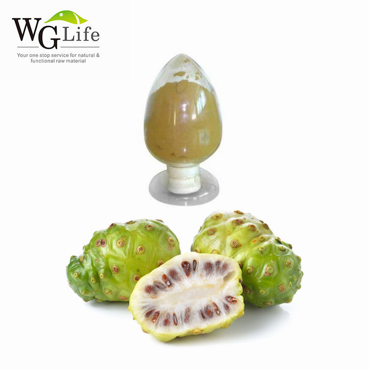 Hainan noni enzyme powder WG Life