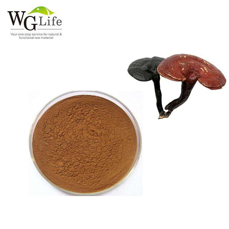 Reishi Mushroom Extract WG Life